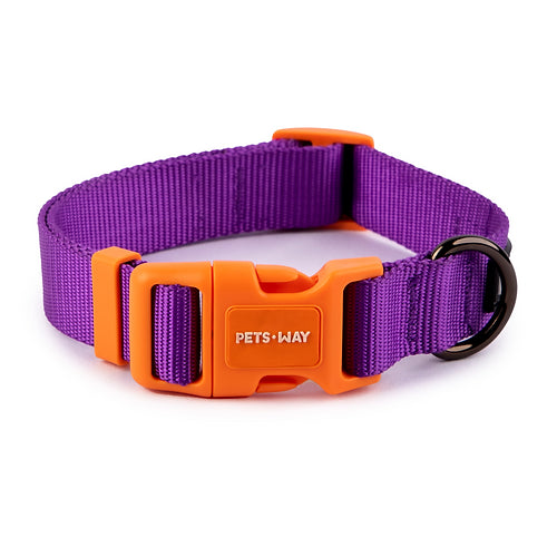 Amethyst Dog Collar