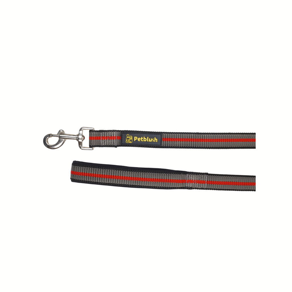 Petblush Tough Striped Leash For Dogs