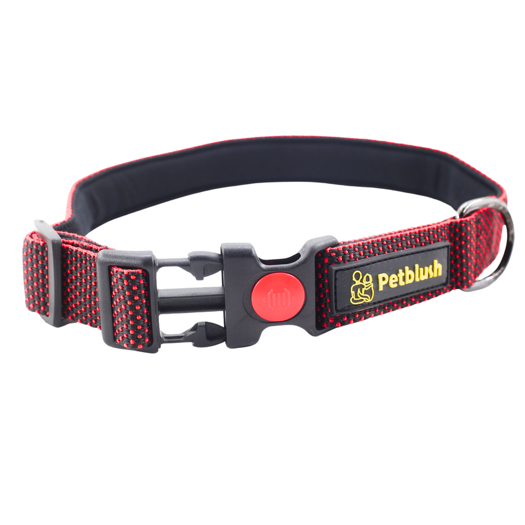 Petblush Dotted Padded Collar With Lock Buckle