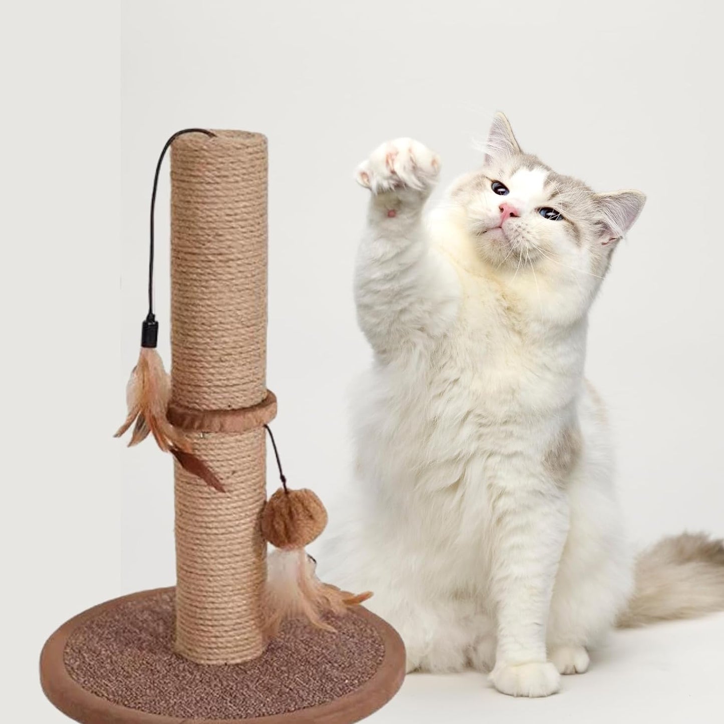 Interactive Scratching Toy For Cat