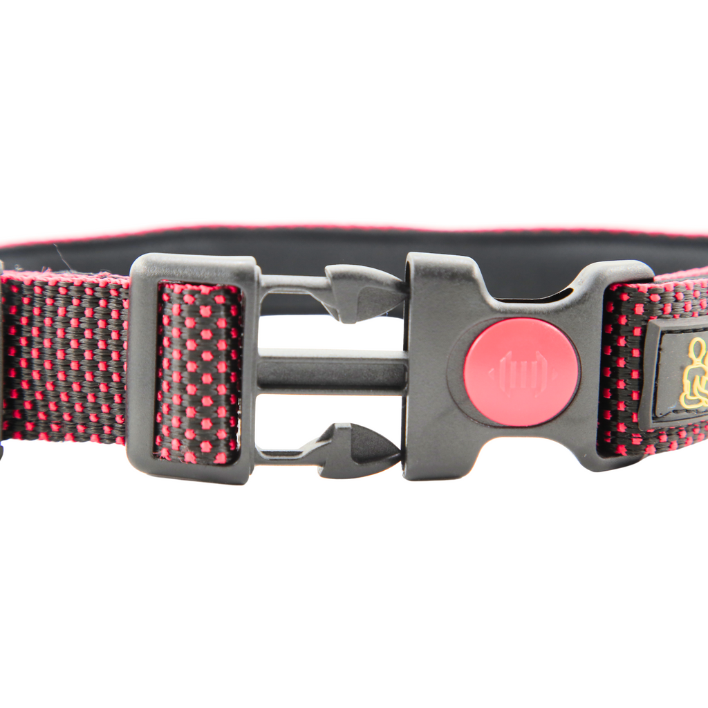 Petblush Dotted Padded Collar With Lock Buckle