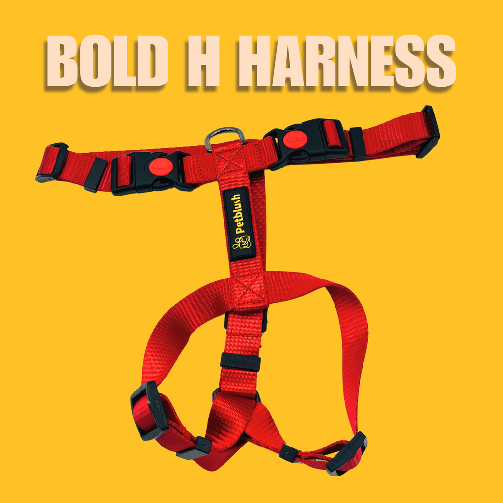 Petblush H Harness with Lock Buckle For Dogs