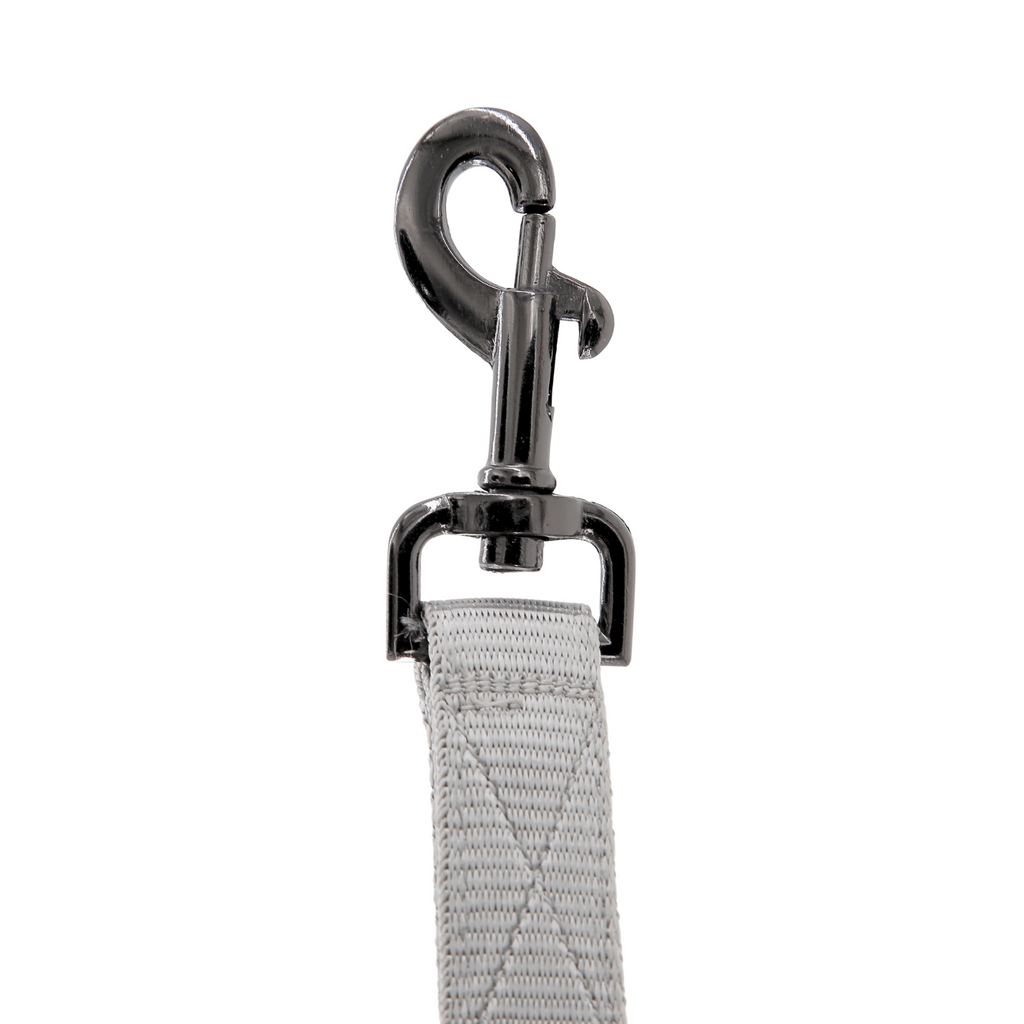 Petblush Classic Padded Double Handle Leash For Dogs