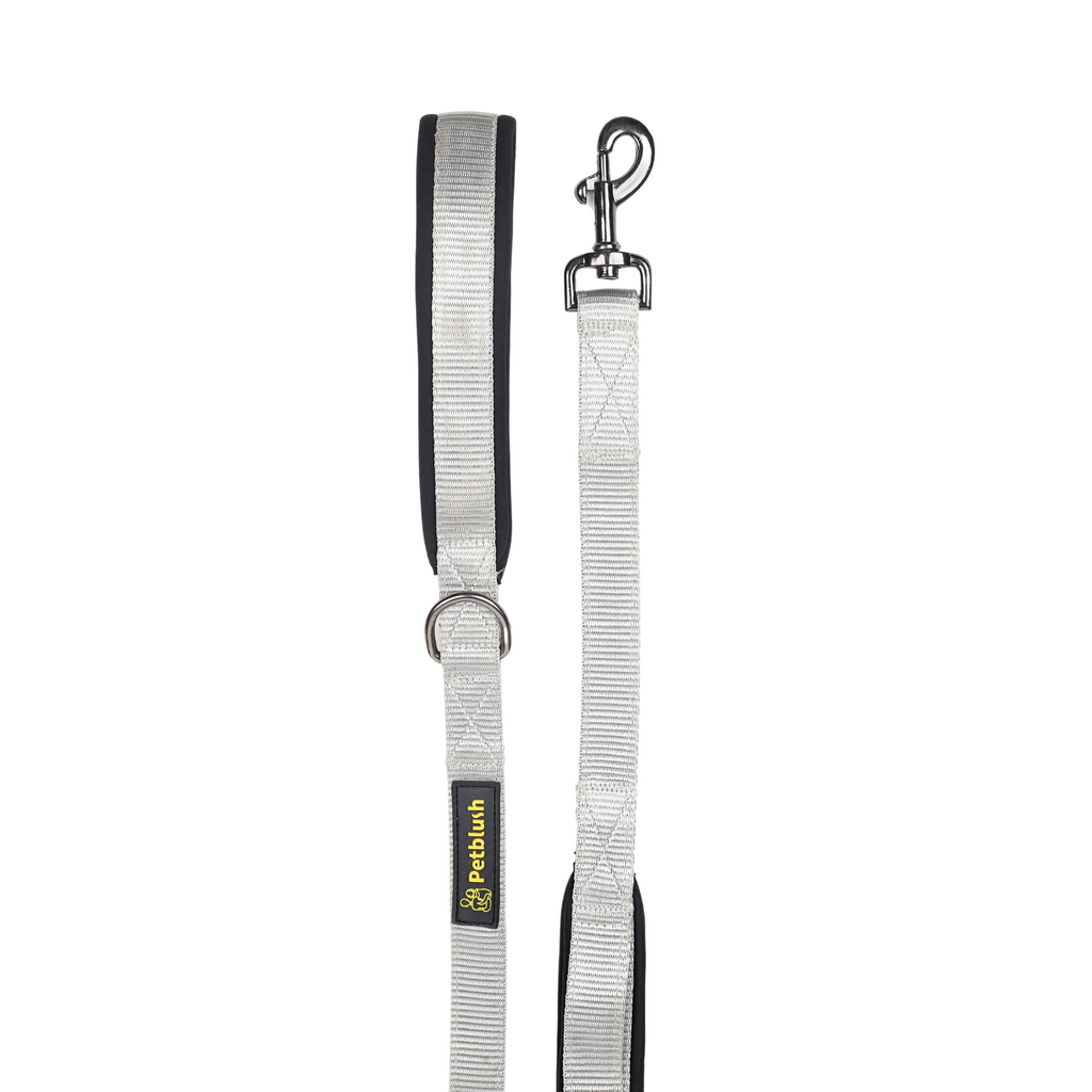 Petblush Classic Padded Double Handle Leash For Dogs