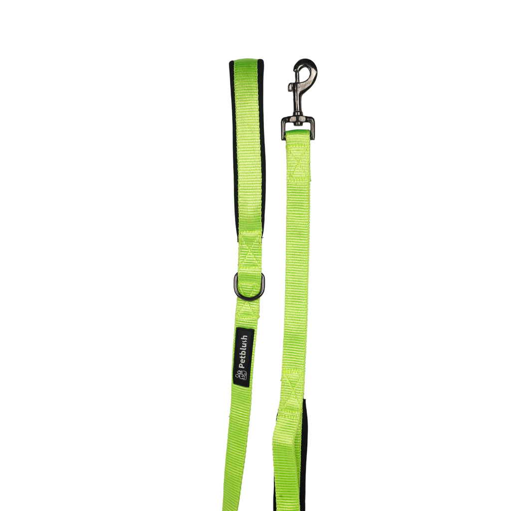 Petblush Classic Padded Double Handle Leash For Dogs