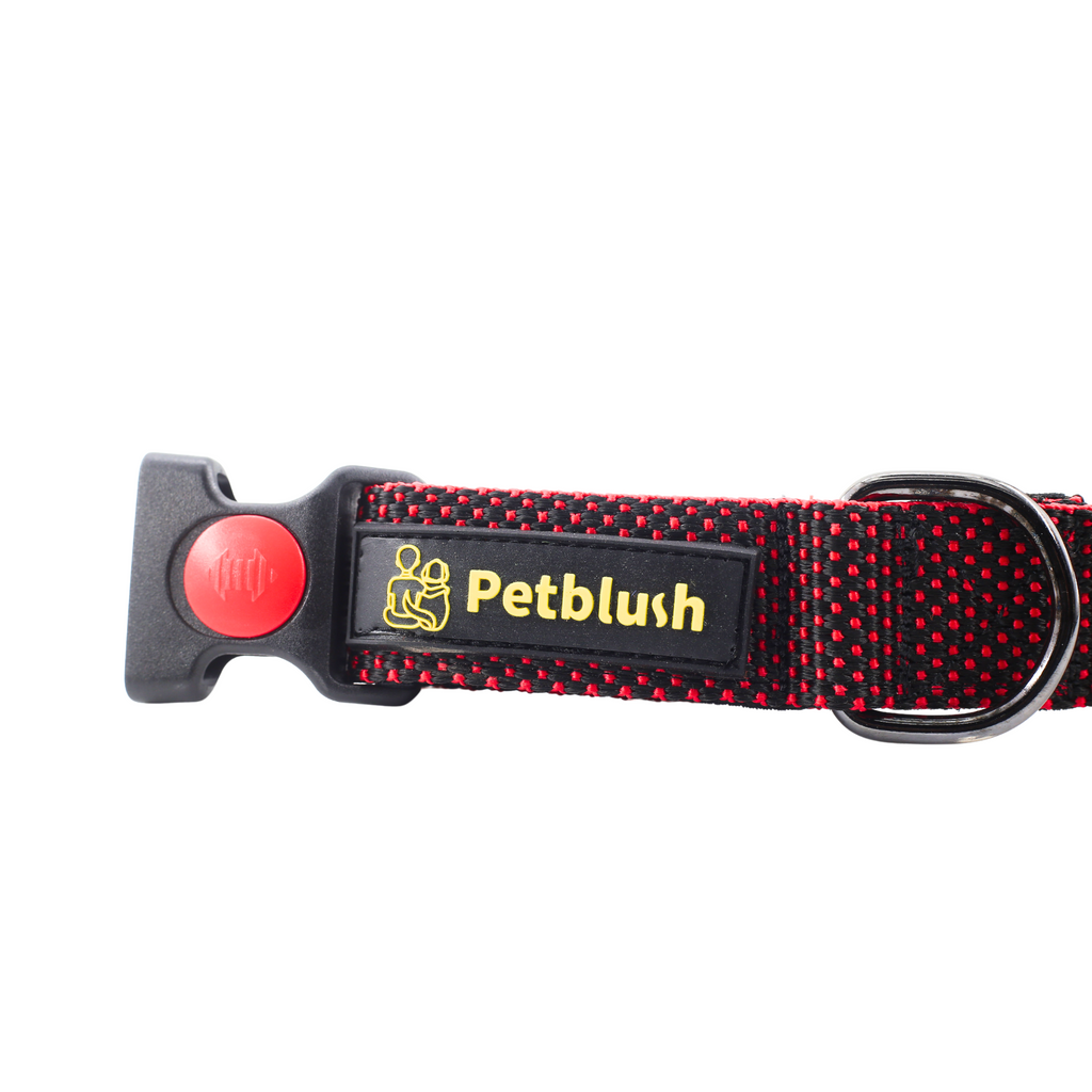 Petblush Dotted Padded Collar With Lock Buckle