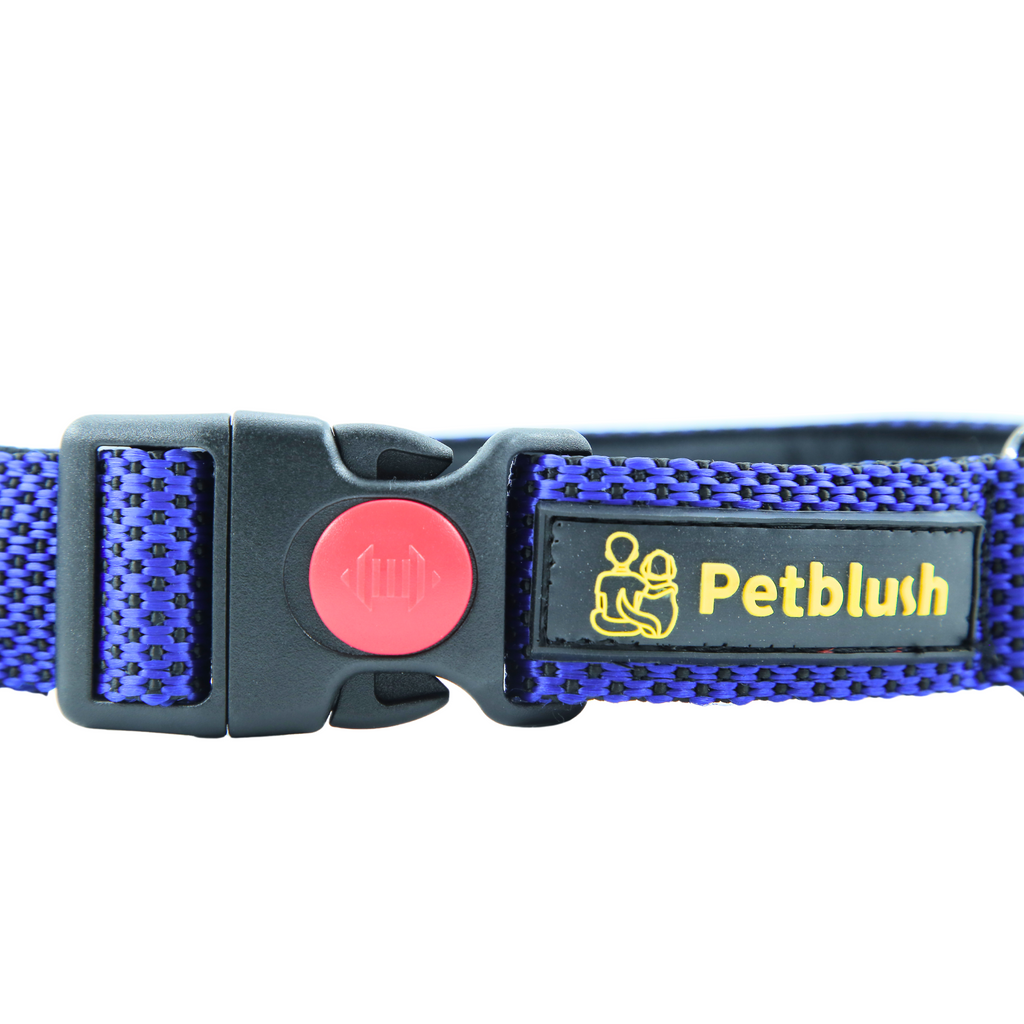 Petblush Dotted Padded Collar With Lock Buckle