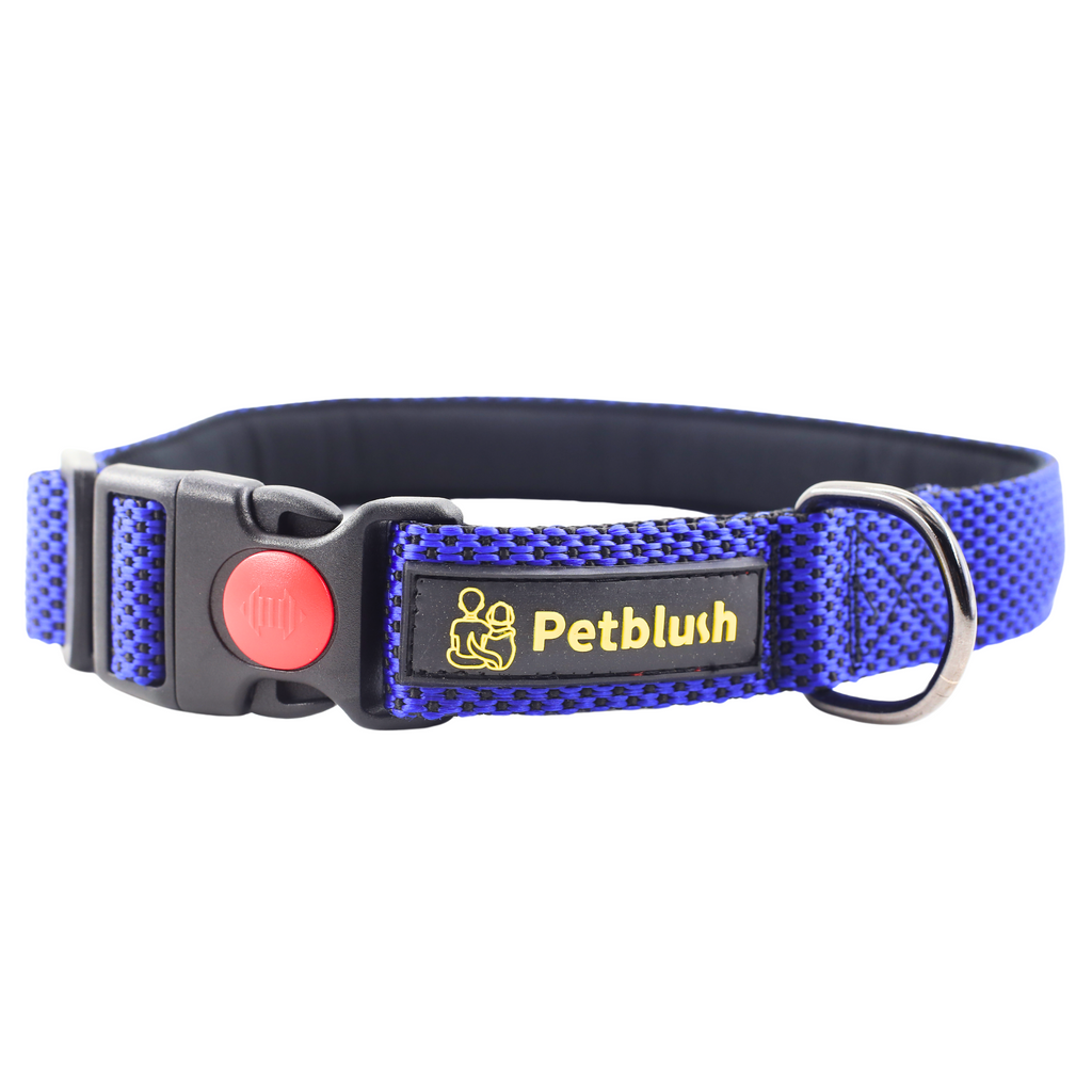 Petblush Dotted Padded Collar With Lock Buckle