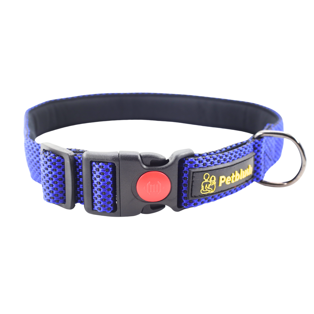 Petblush Dotted Padded Collar With Lock Buckle