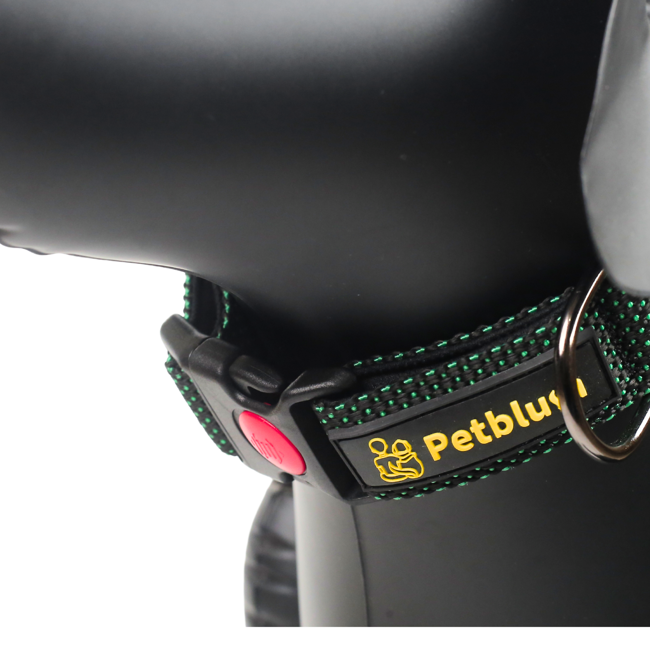 Petblush Dotted Padded Collar With Lock Buckle