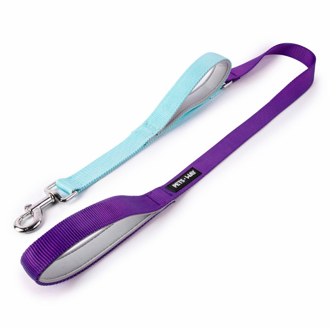 Amethyst & Sky - Traffic / Dual Handle  Leash