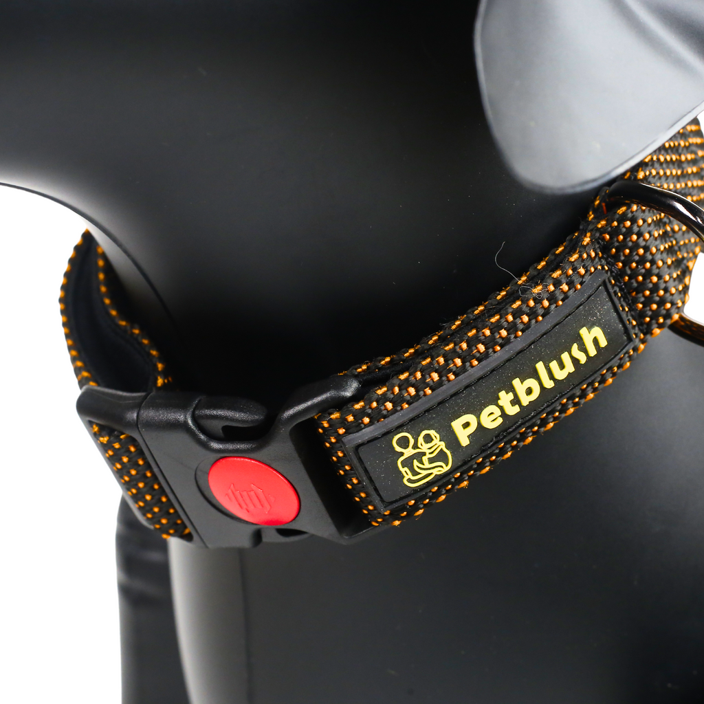Petblush Dotted Padded Collar With Lock Buckle