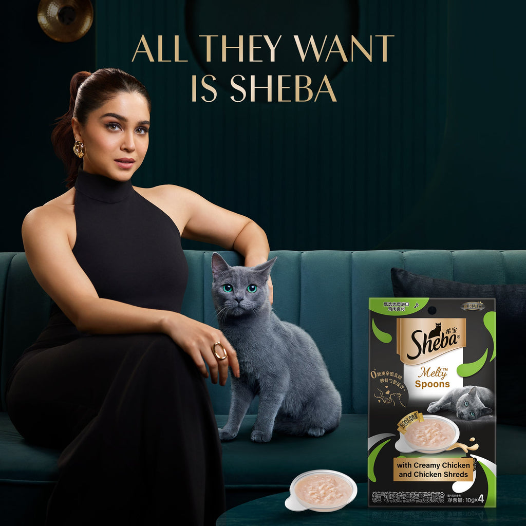 Sheba Melty Spoons Creamy Chicken & Chicken Shred Lickable Creamy Cat Treats