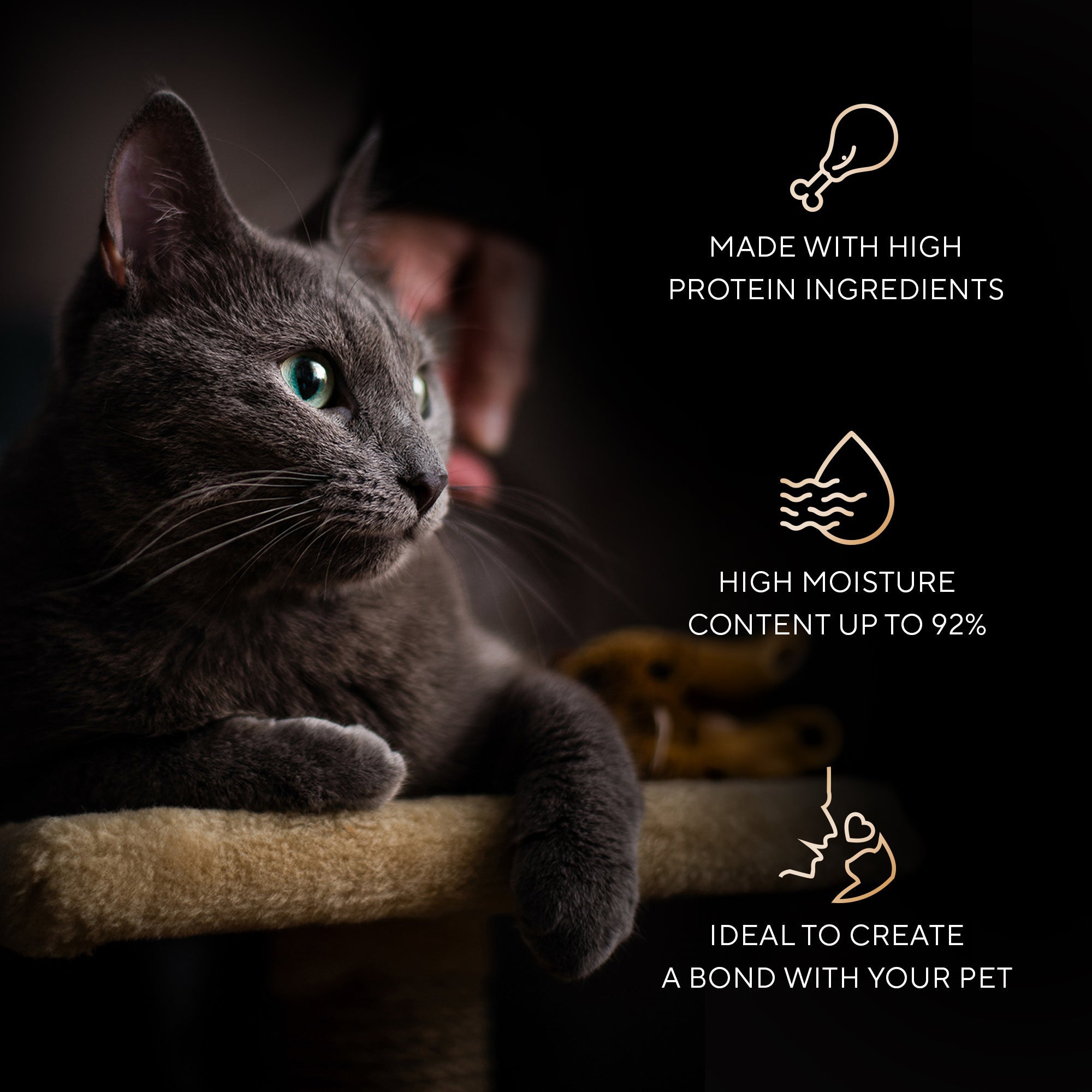 Sheba Melty Spoons Creamy Chicken & Chicken Shred Lickable Creamy Cat Treats
