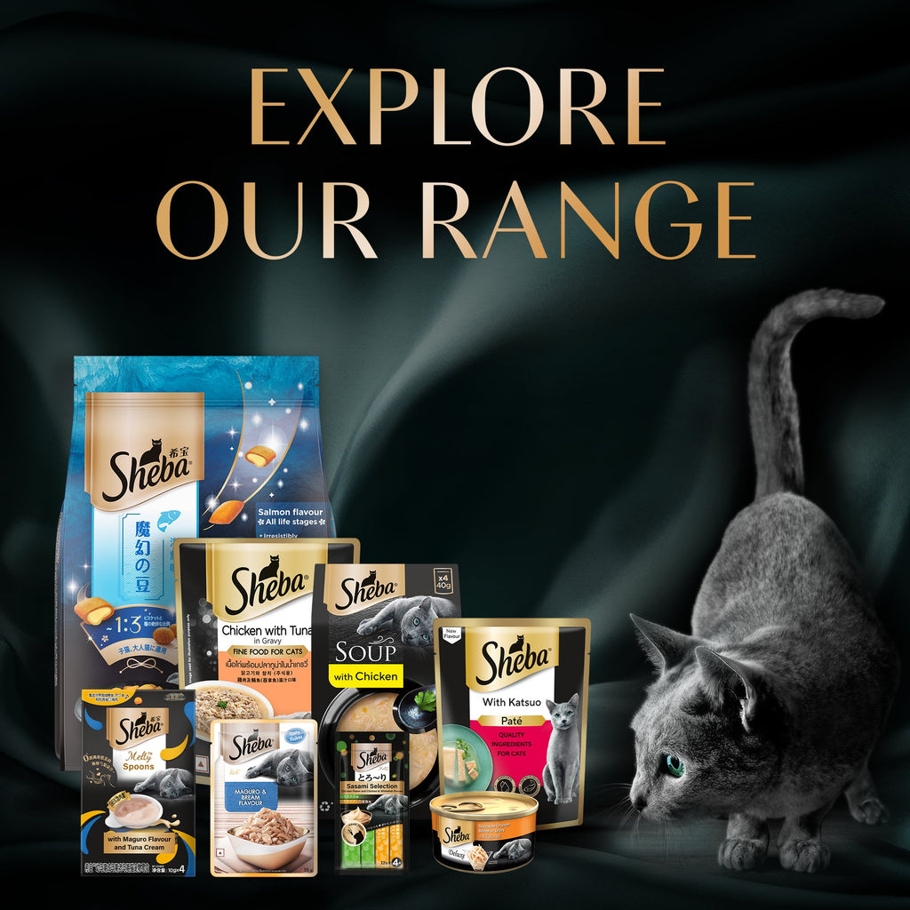 Sheba Melty Spoons Maguro Flavour with Tuna Cream Lickable Creamy Cat Treats