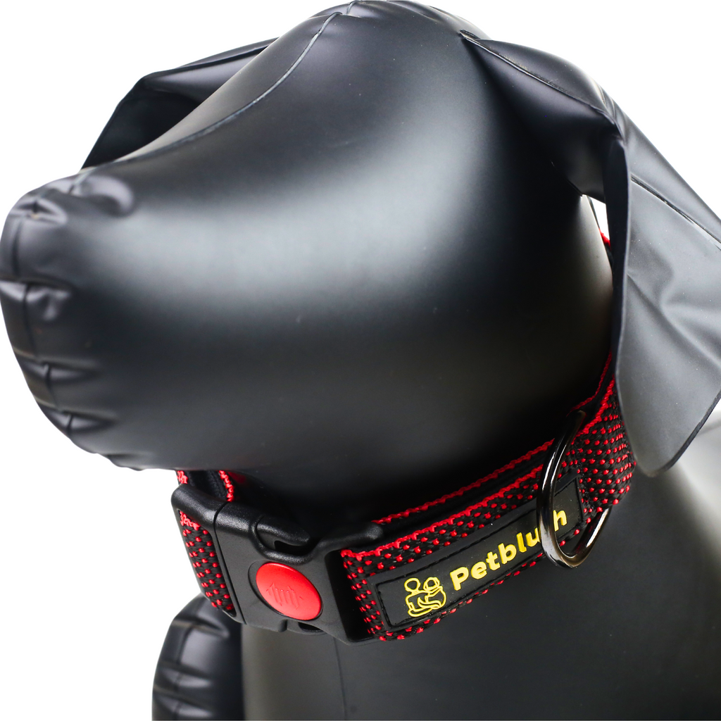 Petblush Dotted Padded Collar With Lock Buckle