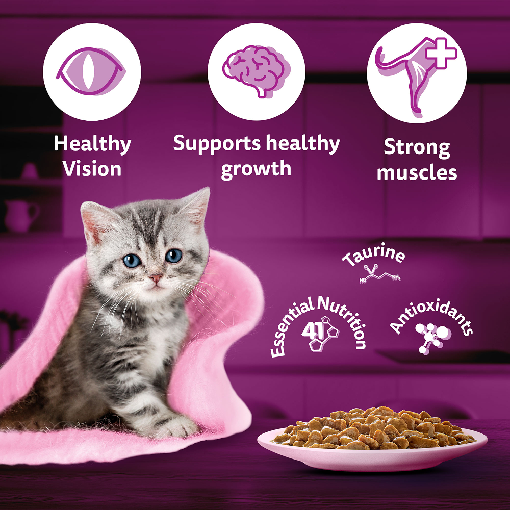Whiskas Chicken in Gravy Meal Kitten Cat Wet Food
