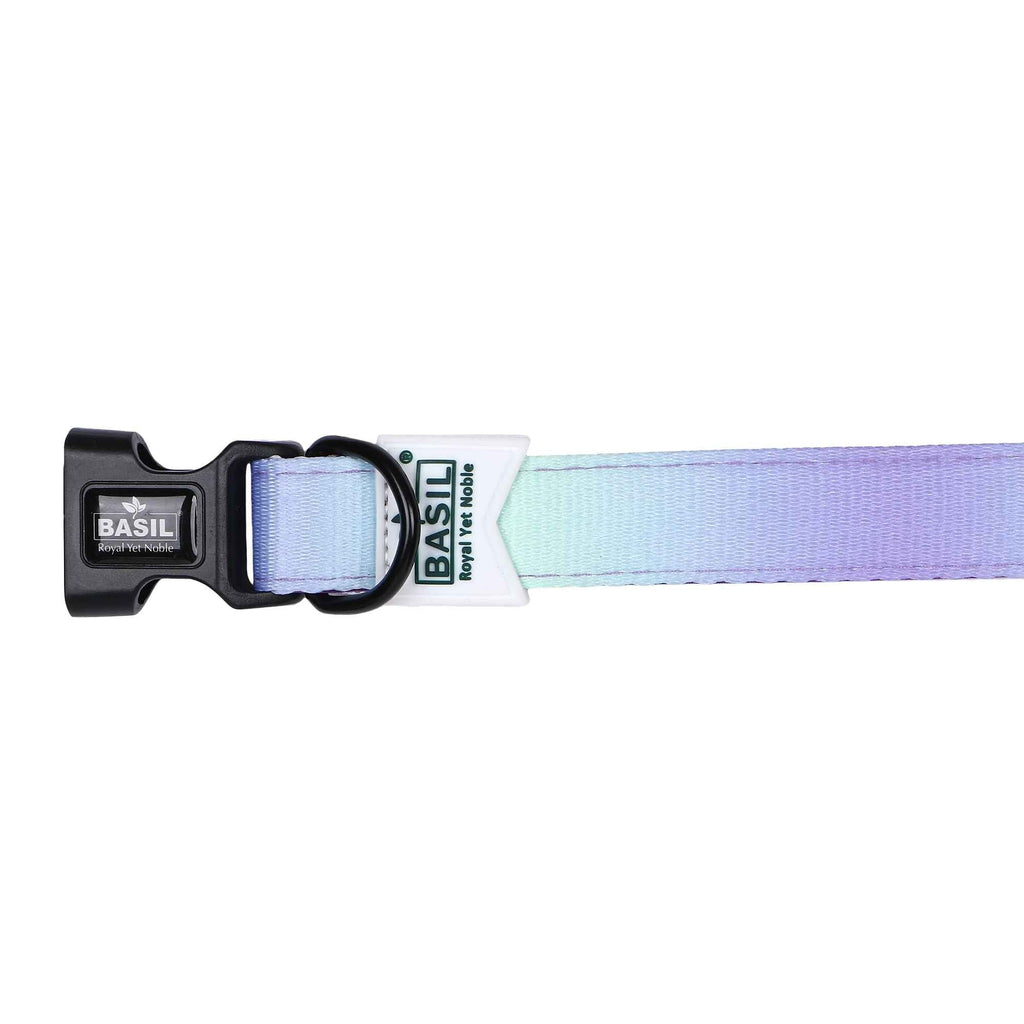 Padded Adjustable Collar for Dogs, Cats & Puppies (Purple & Blue)
