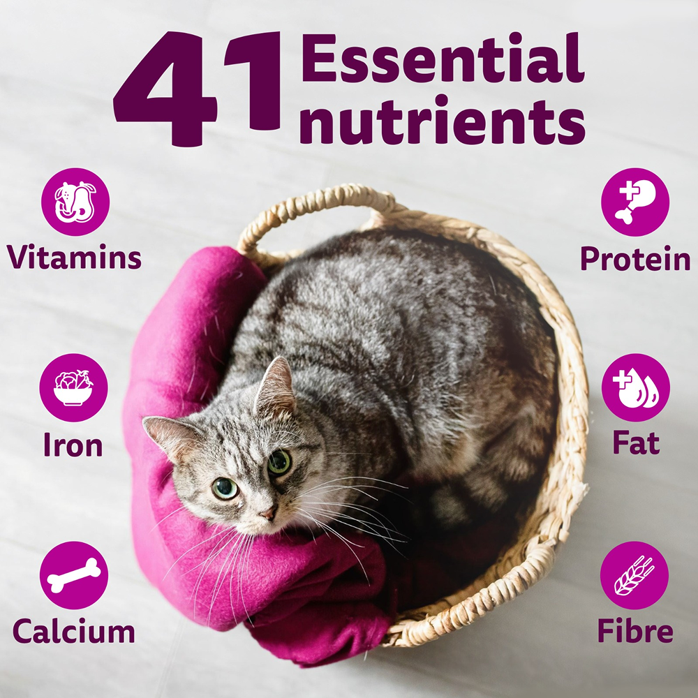 Whiskas Mackerel Flavour Adult Cat Dry Food