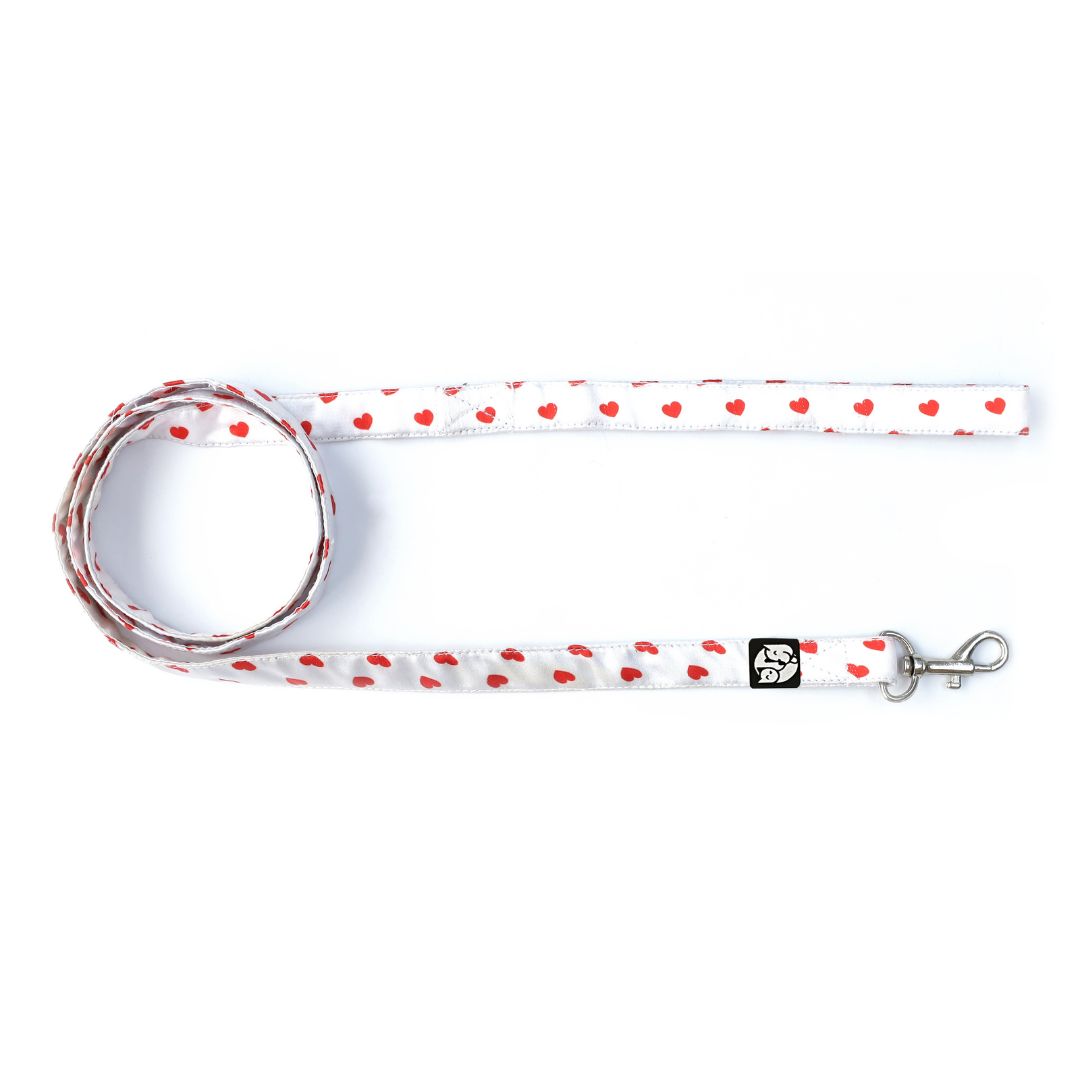 Love Puppy & Cat Collar Leash Harness Set