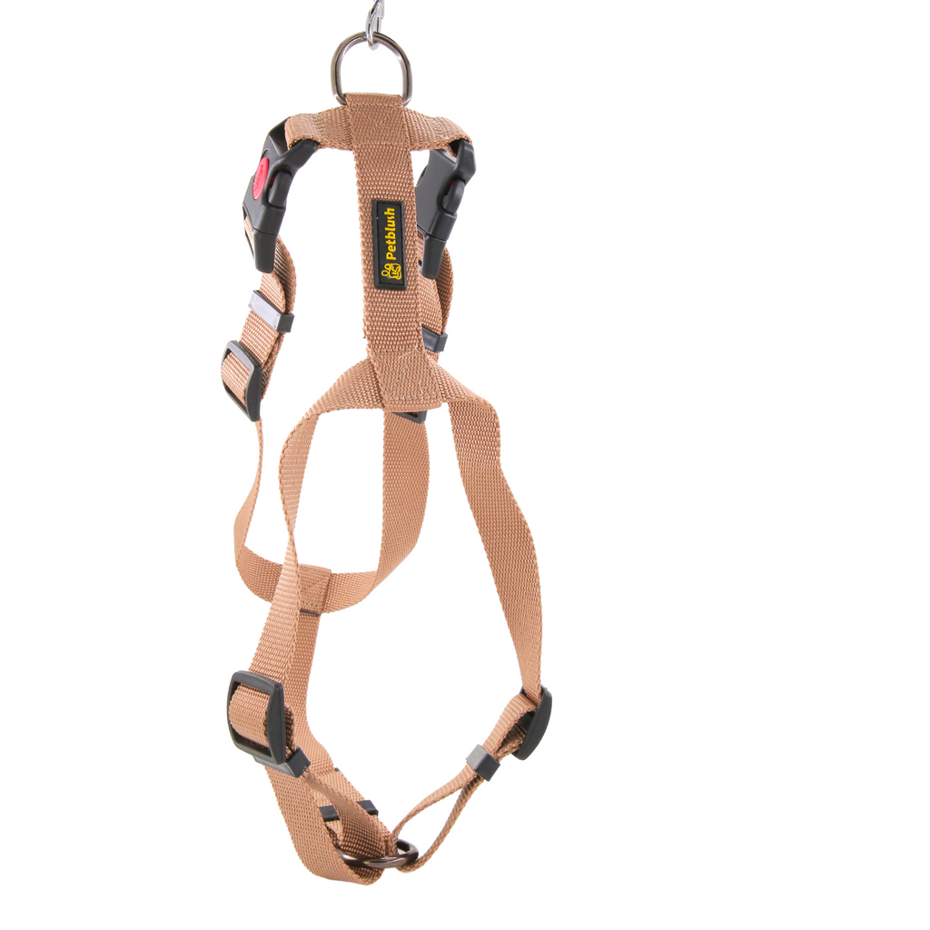 Petblush Premium Solid H Harness with Lock Buckle