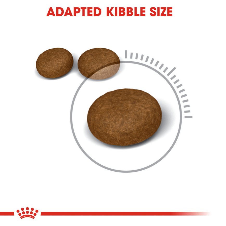 Royal Canin Skin & Hair Care for Adult Cats Dry Food