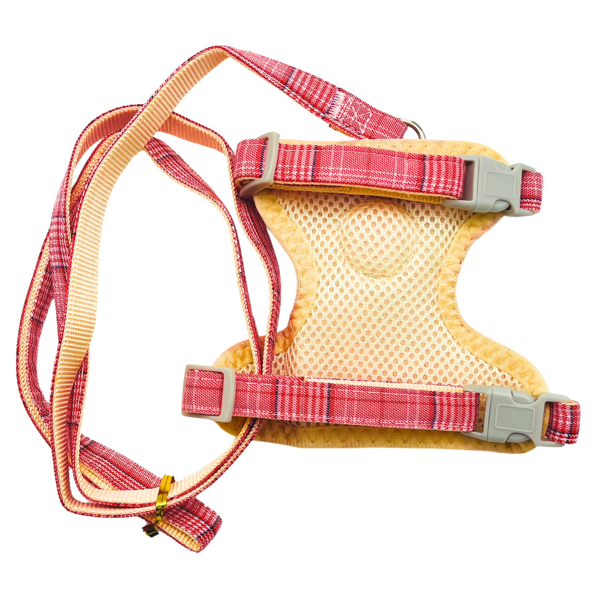 Petblush Classic Imported Chest Harness & Leash set for Cats and Puppies