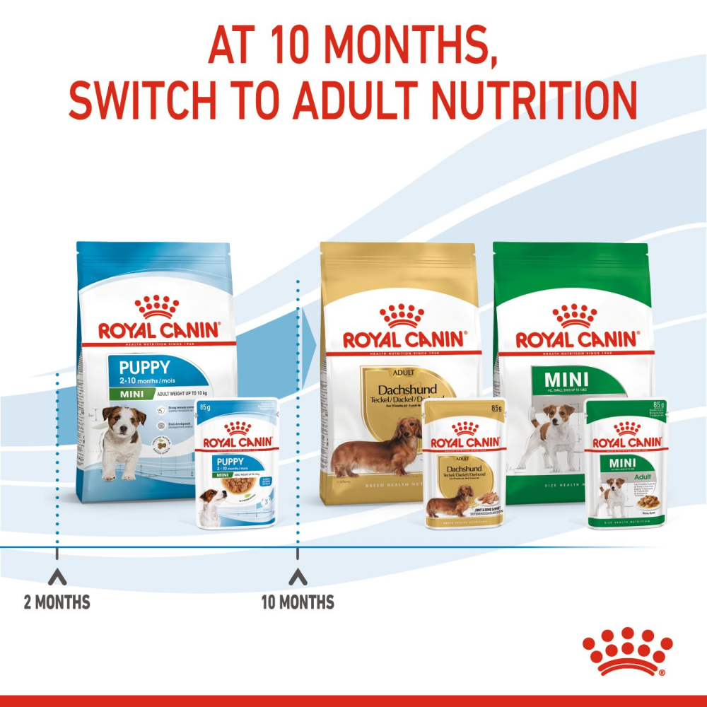 Royal Canin Mini Puppy Dog Wet Food