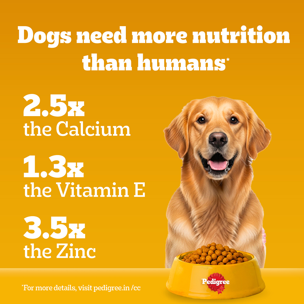 Pedigree Chicken and Vegetables Adult Dog Dry Food