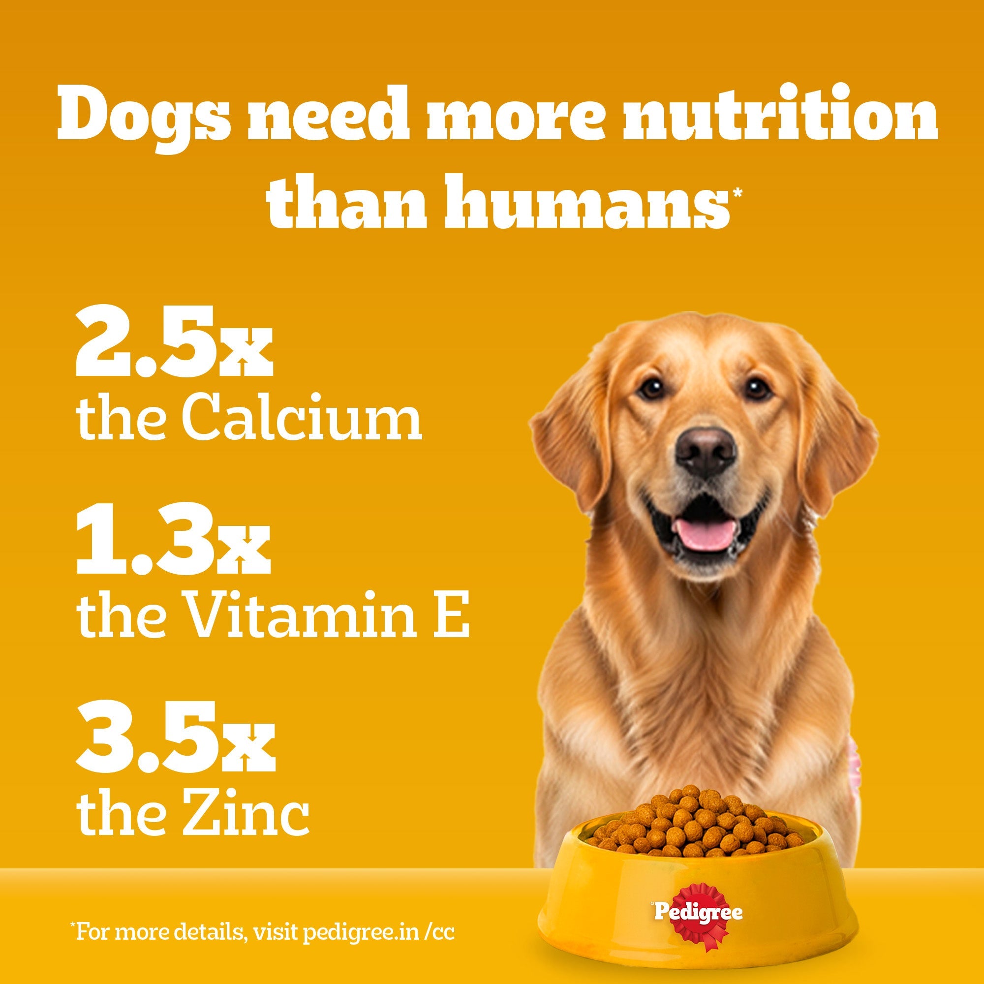 Pedigree Meat & Rice Adult Dog Dry Food