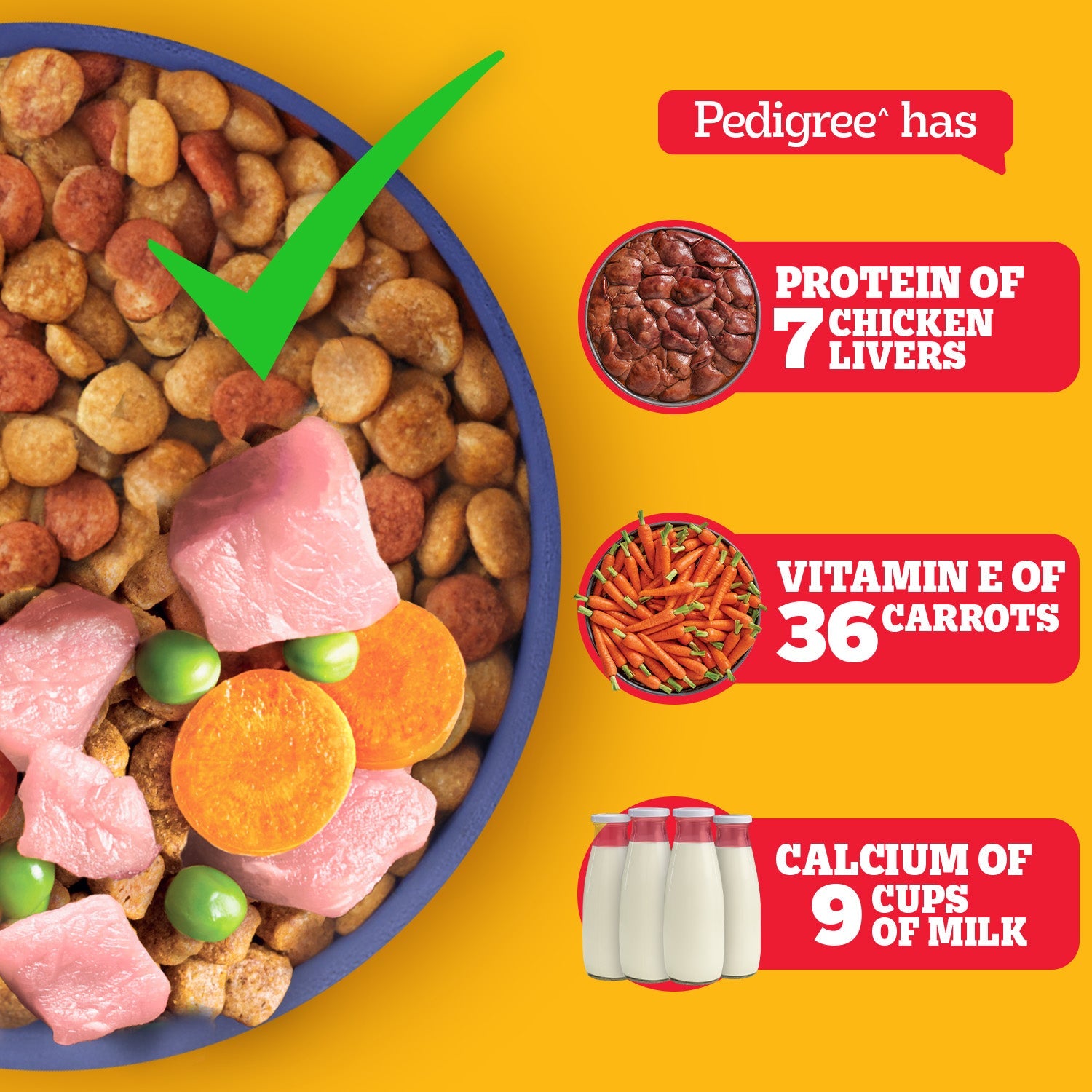 Pedigree Chicken and Milk Puppy Dog Dry Food