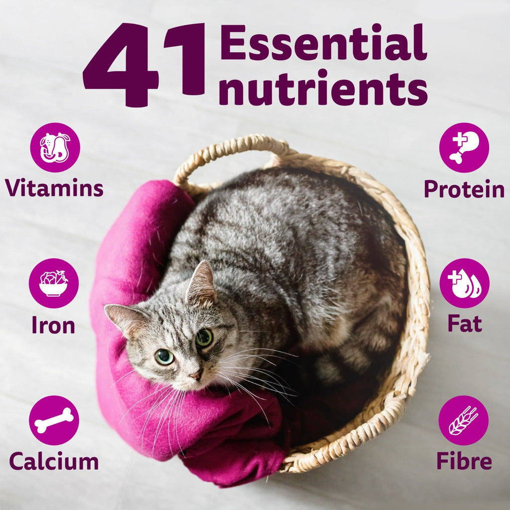 Whiskas Ocean Fish Flavour Adult Cat Dry Food