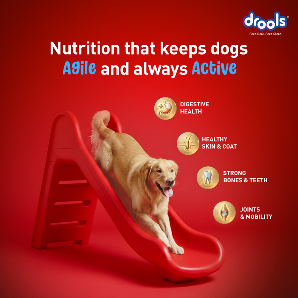 Drools Fish and Rice Adult Dog Dry Food