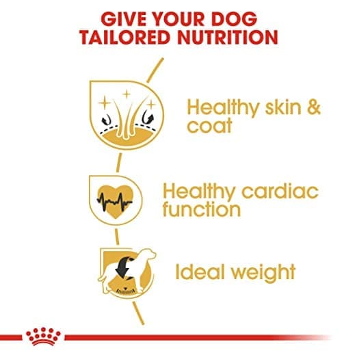 Royal Canin Golden Retriver Adult Dog Dry Food