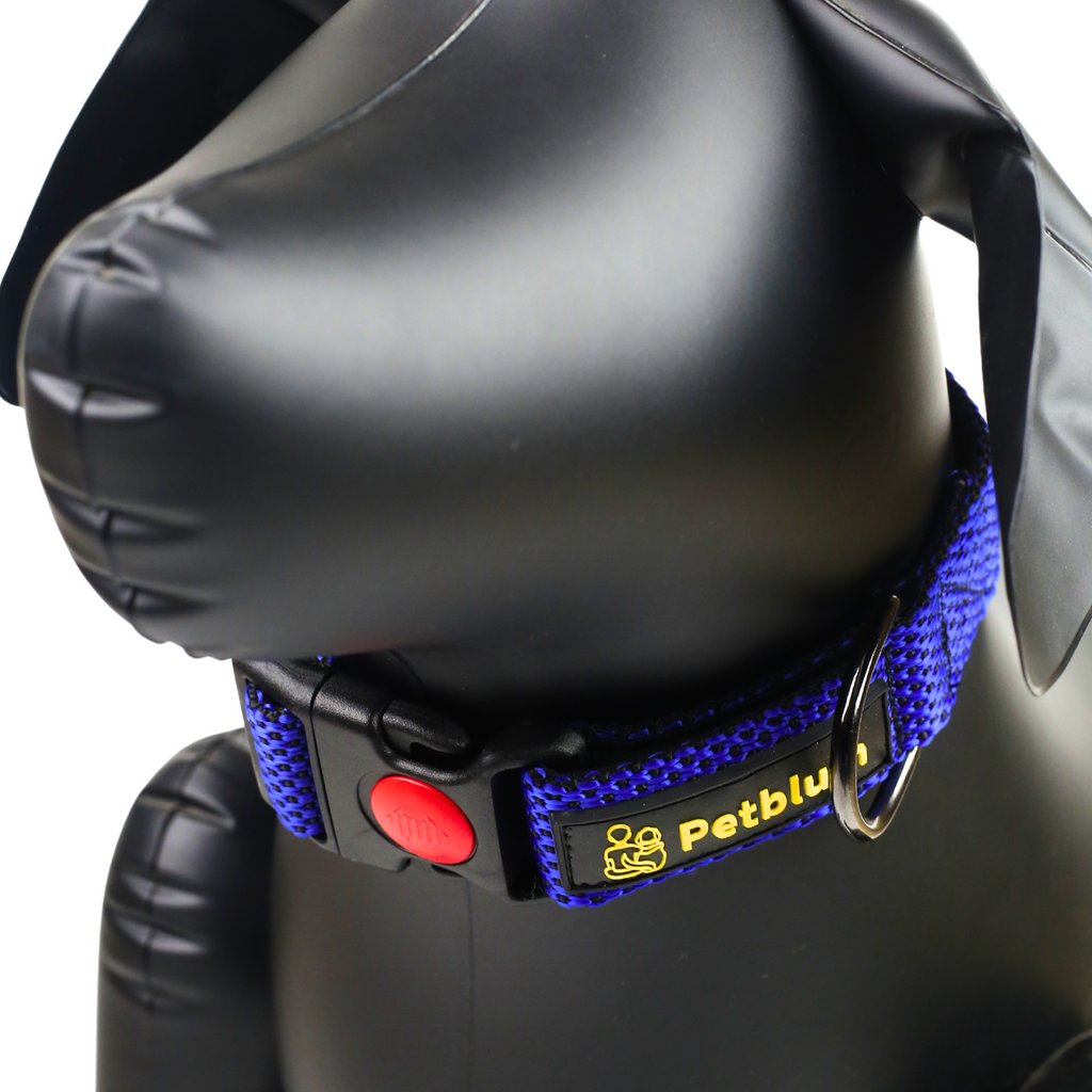 Petblush Dotted Padded Collar With Lock Buckle