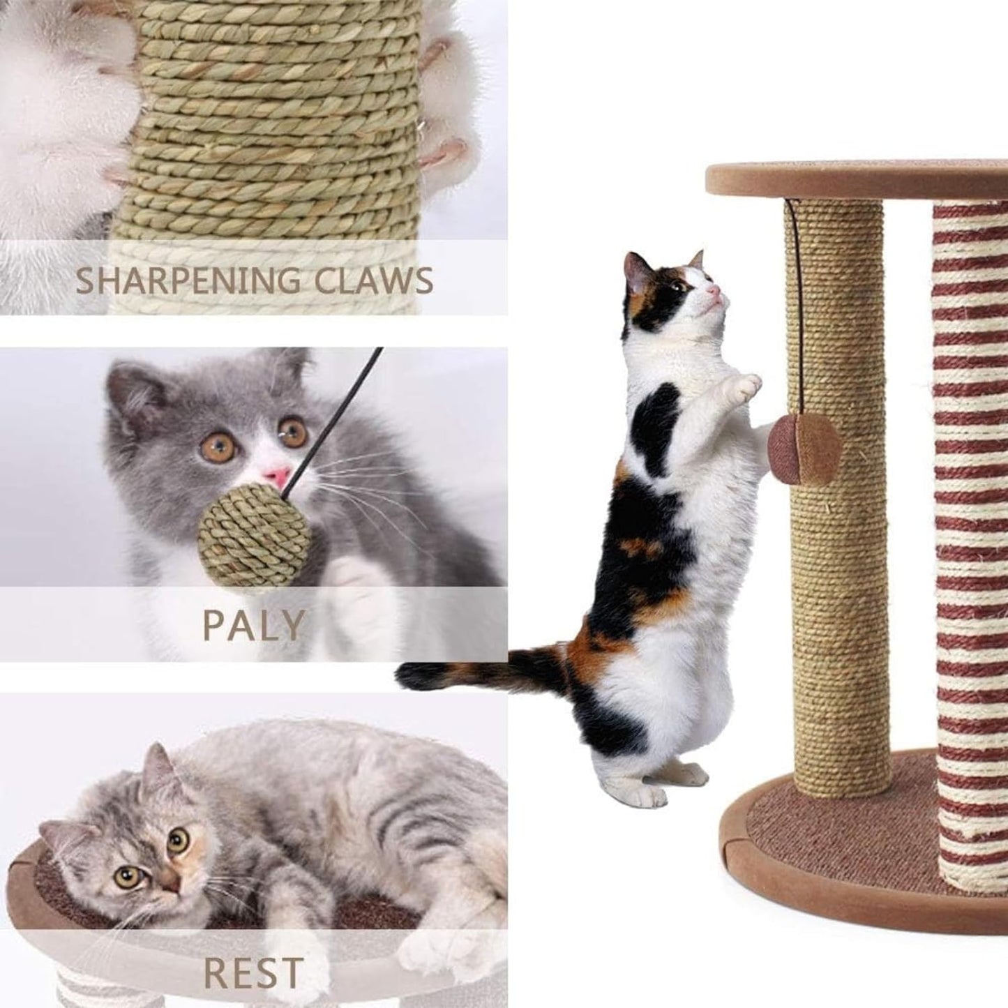 Interactive Scratching Toy For Cat