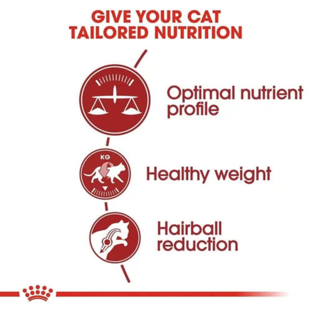 Royal Canin Fit 32 Regular for Adult Cat Dry Food