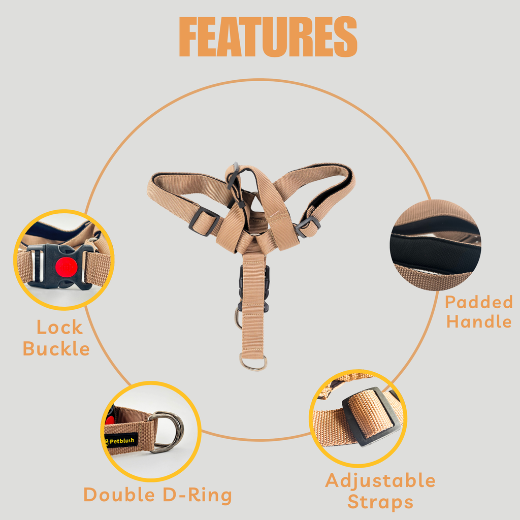 Petblush Padded Y Harness With Lock Buckle For Dogs