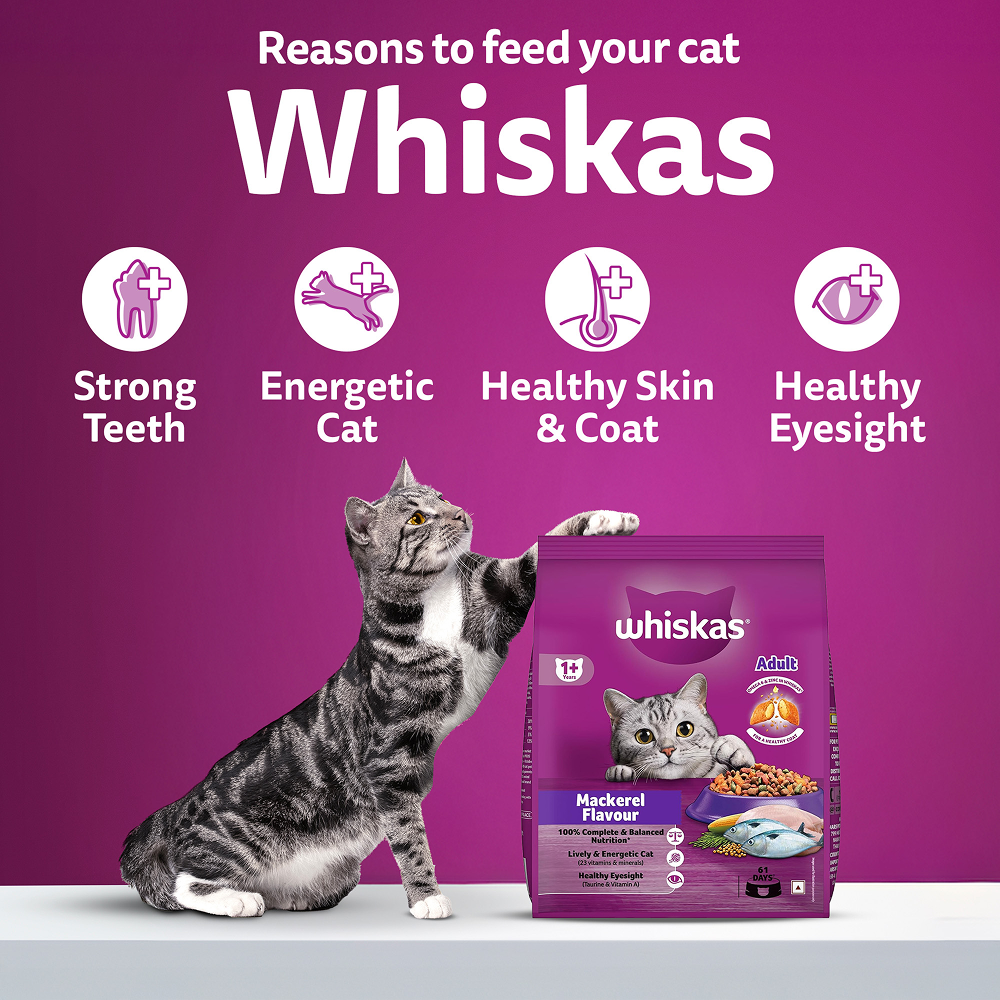 Whiskas Mackerel Flavour Dry Food for Mother and Baby Cat