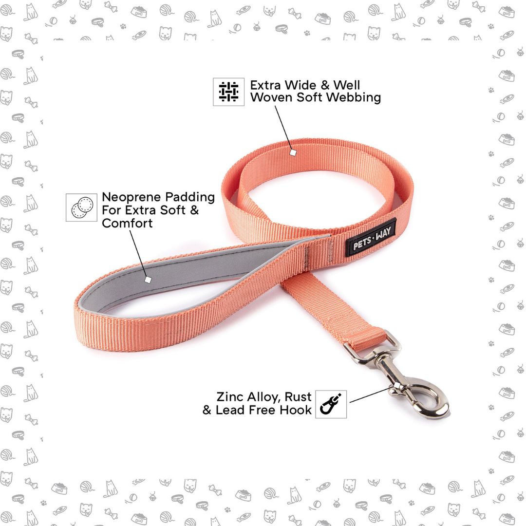 Peach Dog Leash