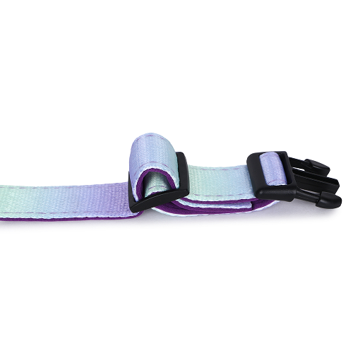 Basil Adjustable Padded Collar for Dogs (Purple/Blue)