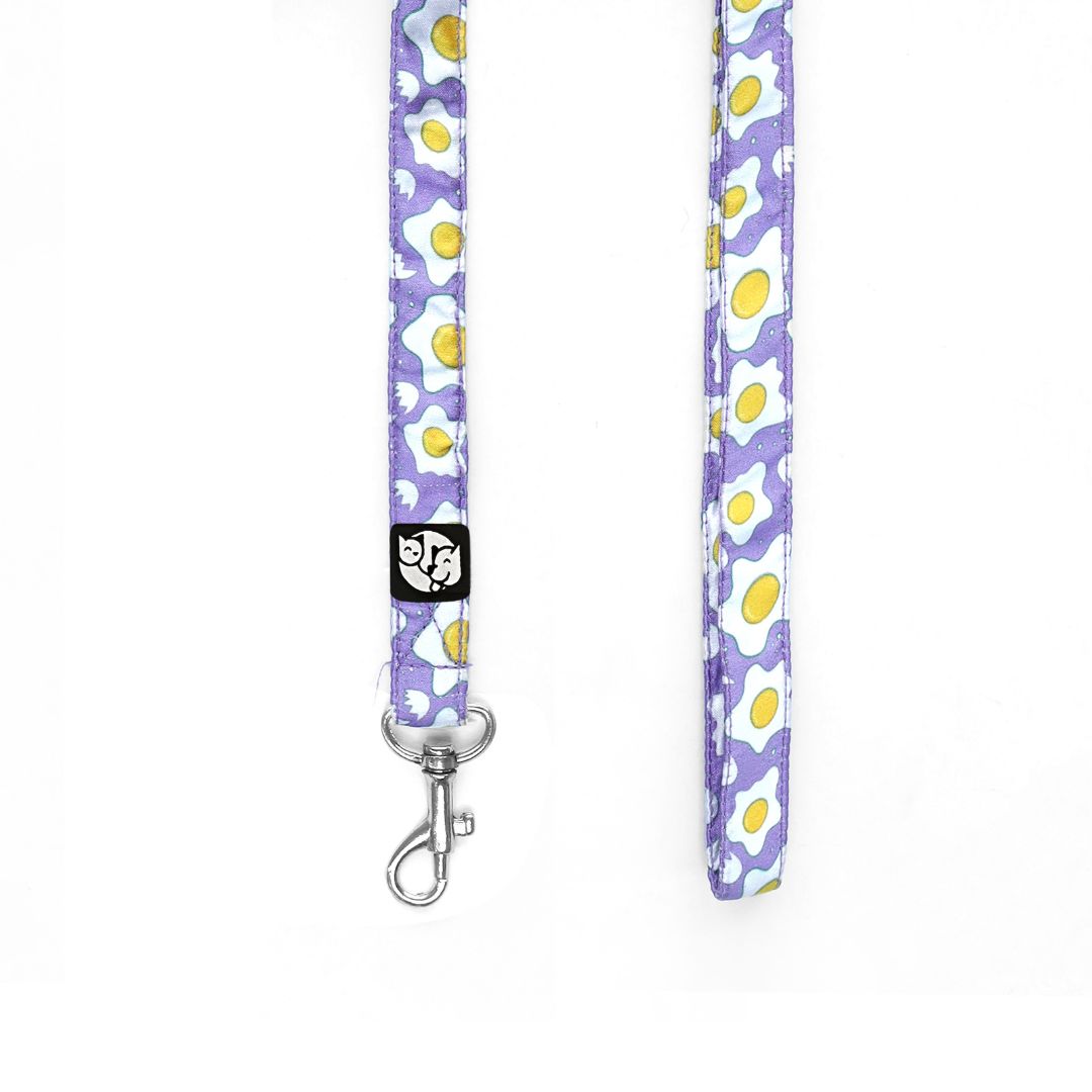 Eggy Puppy & Cat Collar Leash Harness Set