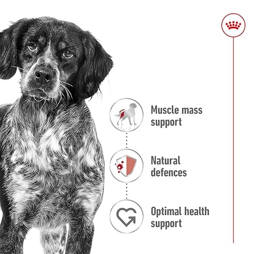Royal Canin Medium Adult Dog Dry Food