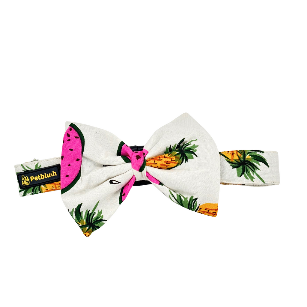 Petblush Watermelon And Pineapple Print Bow Collars For Dogs