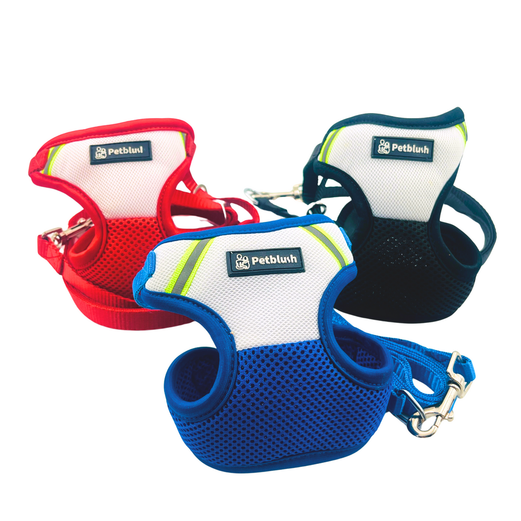 Petblush Dual Color Net Harness Set for Puppies & Cats