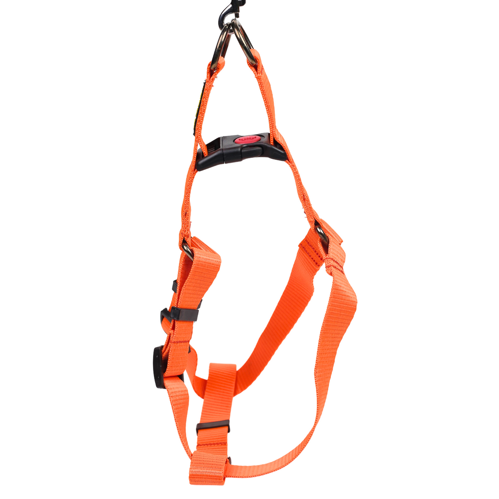 Petblush Y Harness with Lock Buckle For Dogs