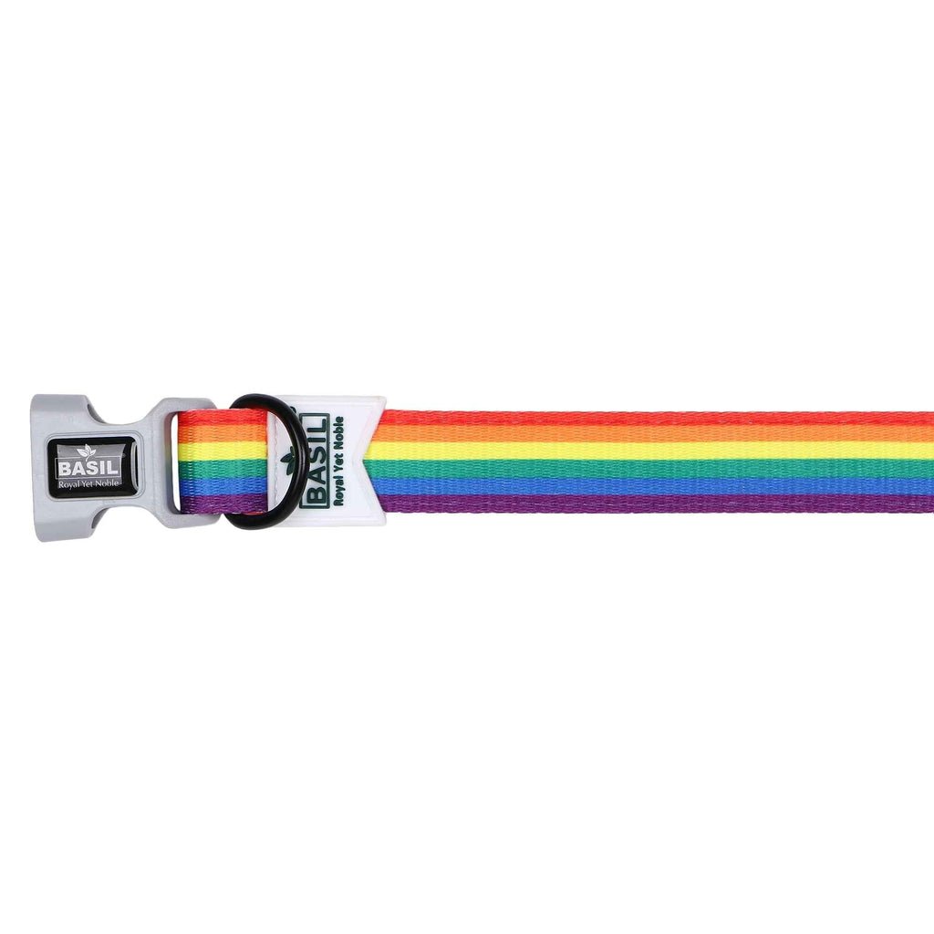 Padded Adjustable Collar for Dogs, Cats & Puppies (Rainbow)