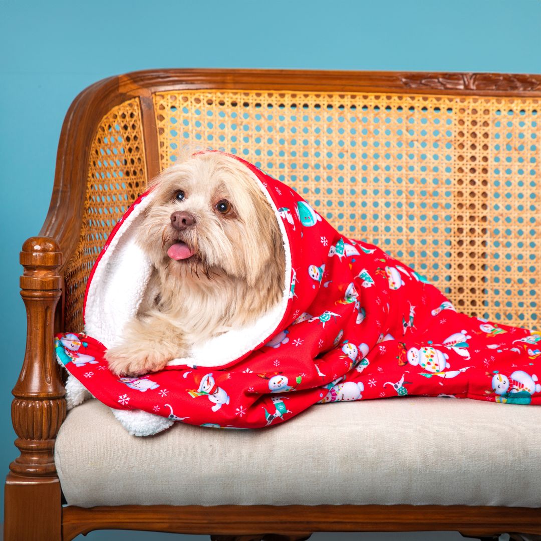 Santa Party Blanket