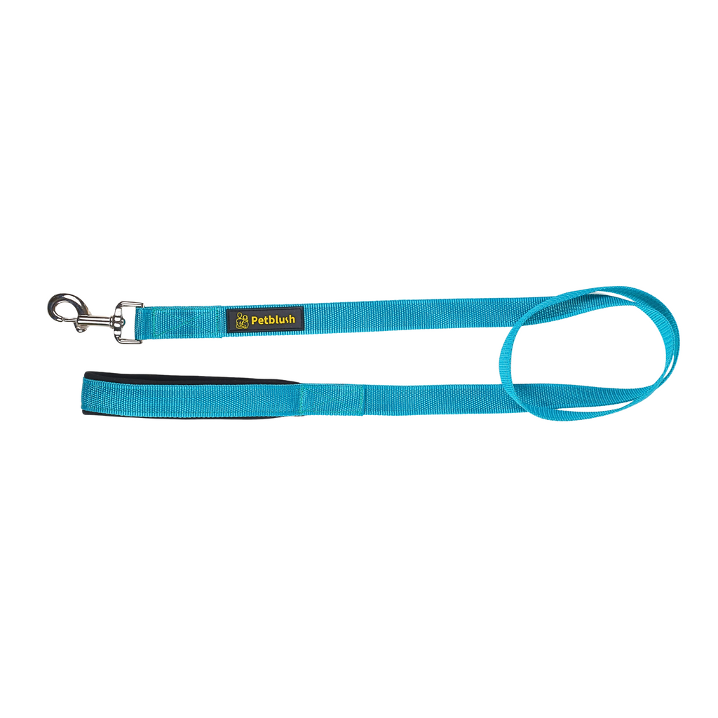 Petblush Everyday Dog Leash with Padded Handle