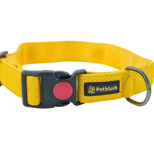 Petblush Airmesh Collar with Lock Buckle